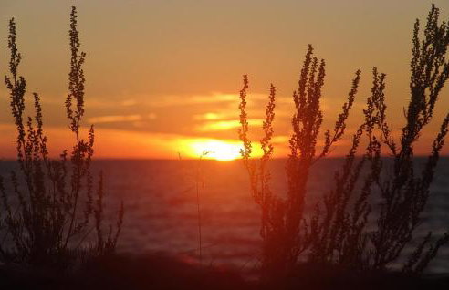 Pet Friendly Home In Osieki With Wifi - Foto 18