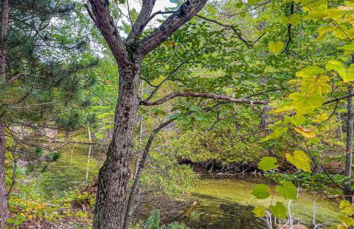 Wilderness 36 - Foto 12