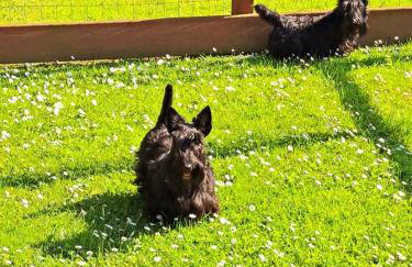 Swallows Nest Stanbury Wharf - Foto 2