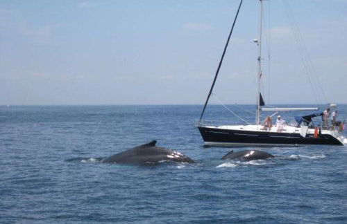 Village Retreat - Foto 19