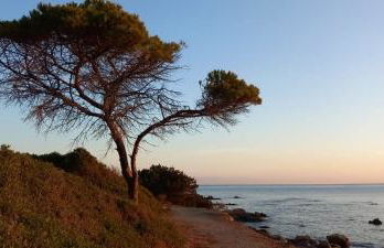 La Casa dei Pesci - Foto 39