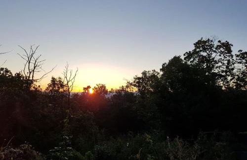 Horizon Feng Shui - jardin, terrasse et vue - Foto 11