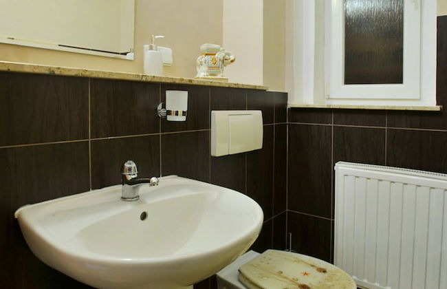 Pension Abertham - Foto 58