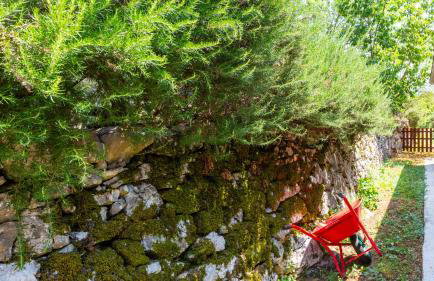 House Mirjana with pool by Villas Guide - Photo 42