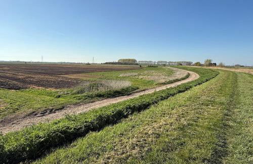 The Lodge - Photo 12