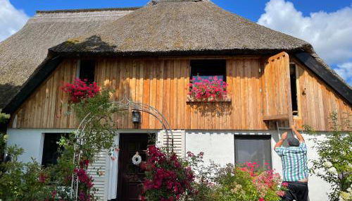 Tiny House Ostsee # Naturwerk - Foto 2