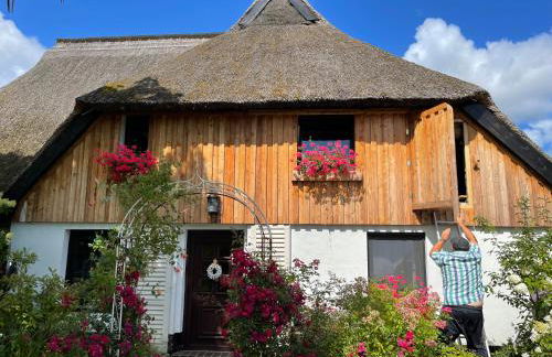 Tiny House Ostsee # Naturwerk - Foto 2