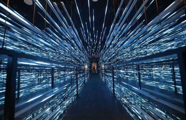 Excursion au musée des météorites et au sentier jurassique - Photo 6