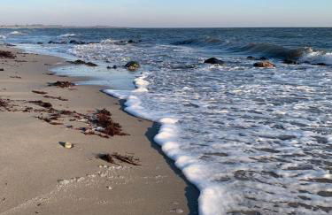 Noorhus - Kurzurlaub an der Ostsee - Foto 19