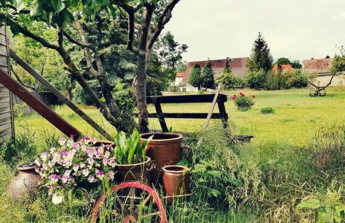 Zauberwagen am Geiseltalsee - Foto 11