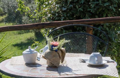 Agriturismo Colleverde Capalbio - Foto 39