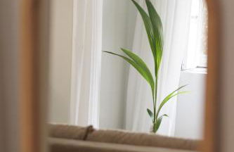 Kampana Corfu in luxury - Foto 18