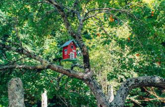 Just Like Home - Quinta da Cavada em Vilar de Mouros - Foto 35