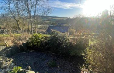 Trawsfynydd Stone Cottage - Foto 37