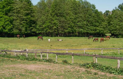 Hof Bahrenwinkel - Foto 24