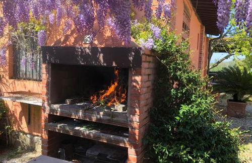 Agriturismo Podere Marchiano - Foto 87