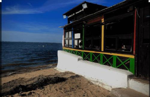 Vivir es Increíble - Foto 72