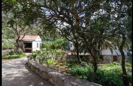 Villa Franić - Photo 56