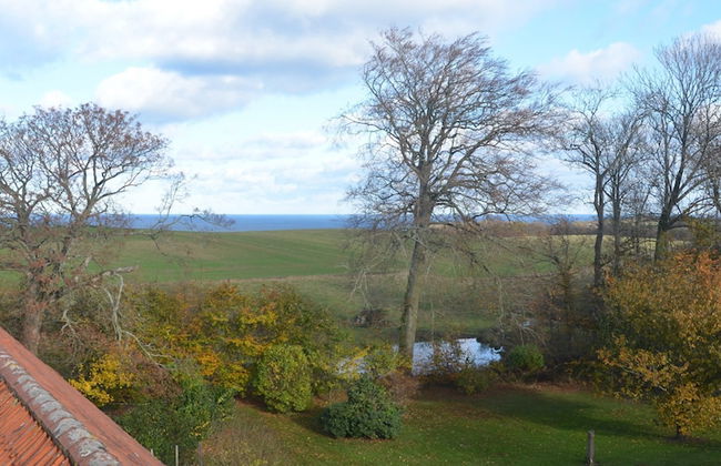 Lehnsgaard Ranch - Foto 37