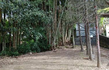 Estúdio Raiz da Mata - Foto 5