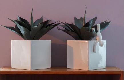 Chic Farmhouse Woodstock Saugerties Skiing HITS - Photo 12