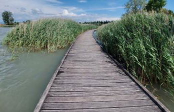 Beau studio Monteux, balcon vue Lac, près de Spirou Provence - Photo 63