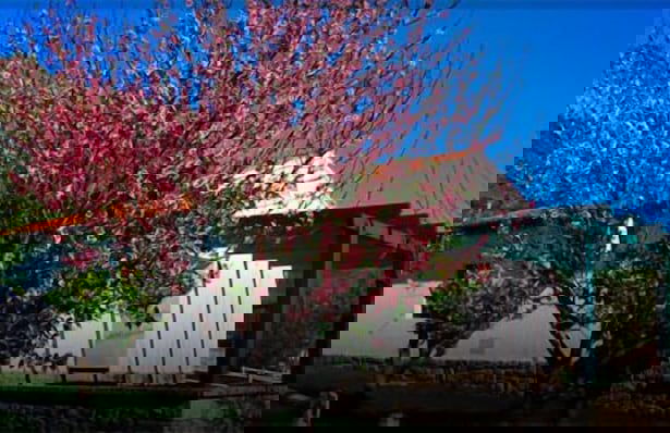 Casas Rurales Aldeaduero - Foto 18