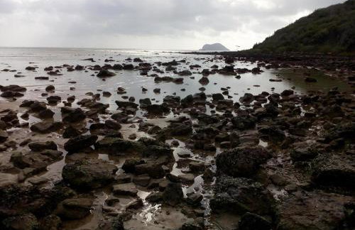 Casa com amplo quintal, churrasqueira e área verde - Foto 21
