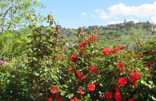 Casa Angolo delle Rose 2 - Foto 13