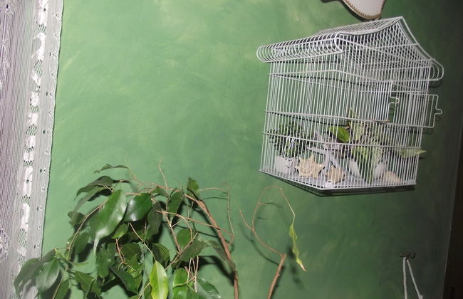 Villa Sabrina - Photo 2