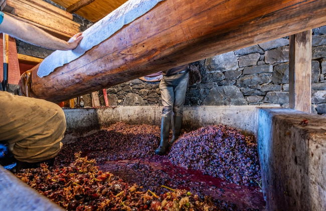 Casas da Luz - Casa da Pedreira by Homie - Foto 23