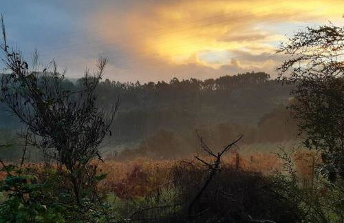 Cavado's heights Braga - Photo 31