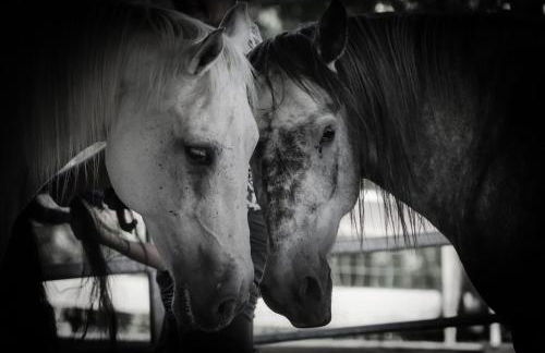 Sinnes Wandel Hof Serka - Foto 25