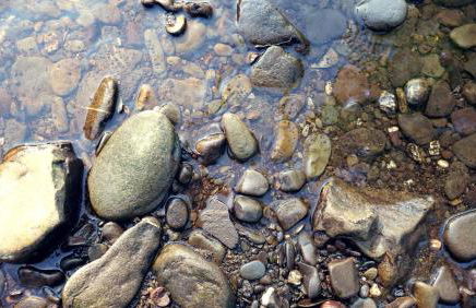 Gut Kallerbend - Foto 21