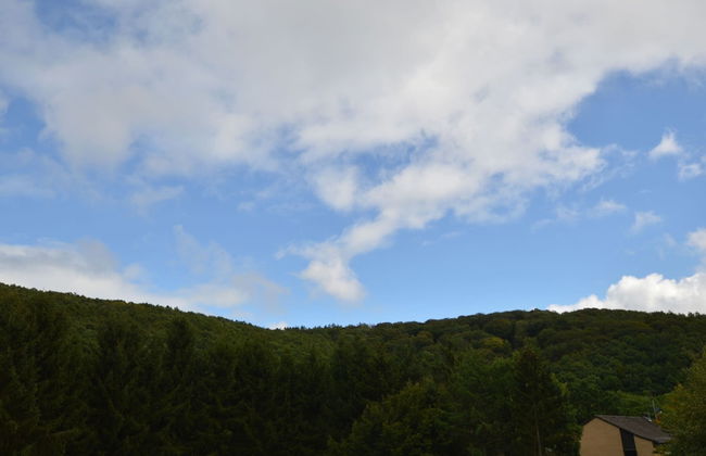 Modern Holiday Home in Eifel With Sauna - Foto 25