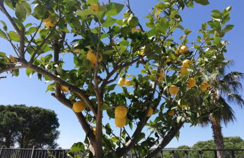 Villa Galicia - Foto 70