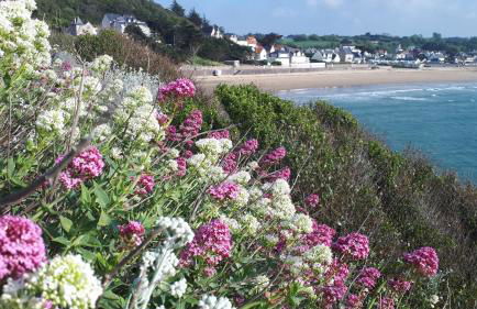 Appartement terrasse esprit loft vue sur mer - Foto 51