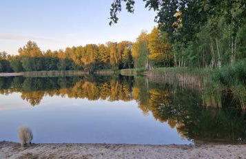 Vierseitenhof Appartements - Foto 19