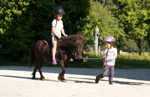 Lamprechthof - Foto 12