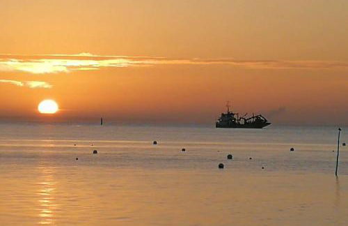 Entre dune et plage Les Jacquets Cap Ferret - Foto 16