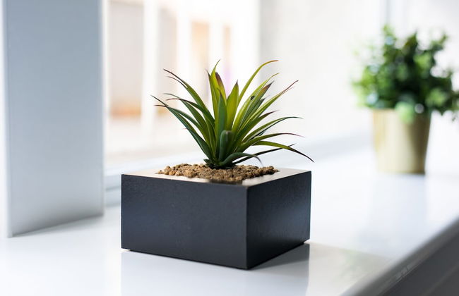 The Waterloo Collection - Foto 39