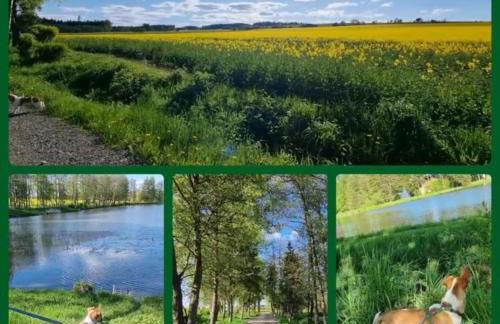 Tiny House - Auszeit im Wald am Badesee - Foto 47