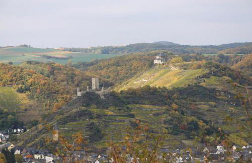 Ferienwohnungen im Moseltal - Foto 71