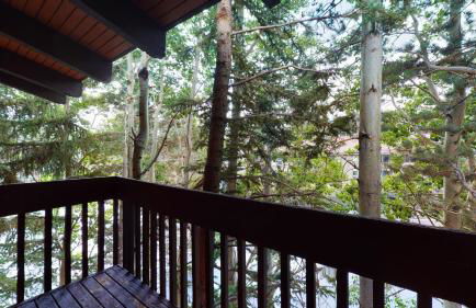 Mammoth West #101 Condo - Foto 17