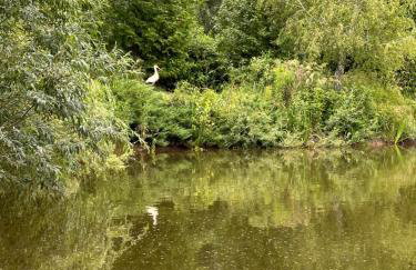 Pokój Przy Kominku - Foto 39