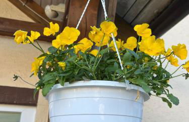 Ferienhaus Berg - Foto 21