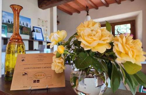 Agriturismo Cafaggio Primo - Foto 67