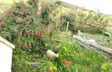 Scorrabrae Orphir Mainland Orkney South Shore Retreat - Photo 60