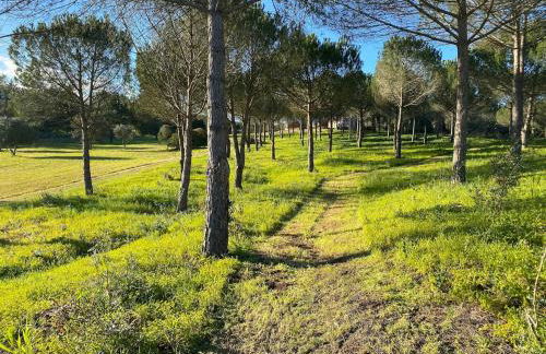 Quinta Vale da Paz - Foto 34