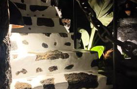 El rincón de los Aljibes - Foto 40